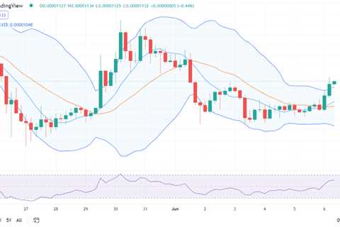 Shiba Inu price analysis: SHIB increases value to $0.00001131 as the market enters bullish dominion ..