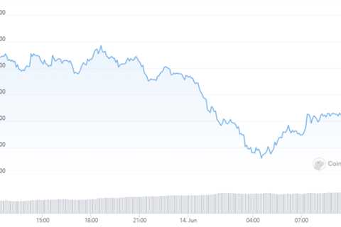 What is Pacoca – A Review of One of the Most Promising DeFi Hubs