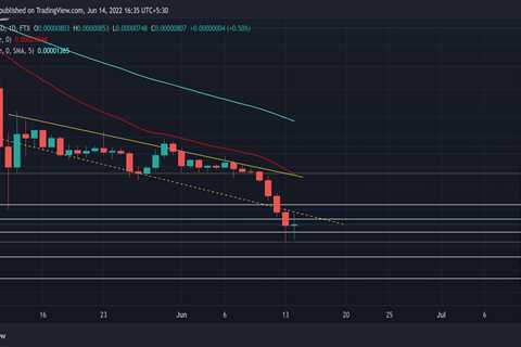 Shiba Inu: Here's what 79% correlation with BTC could imply for SHIB traders - Shiba Inu Market News