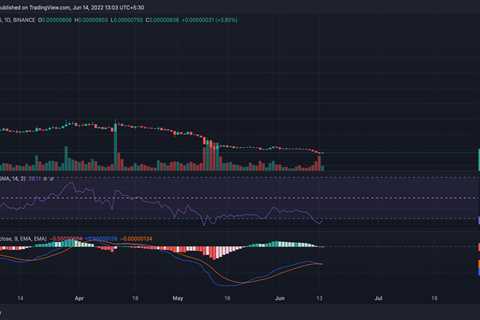 Shiba Inu's active address and transaction volume have been hinting at... - Shiba Inu Market News