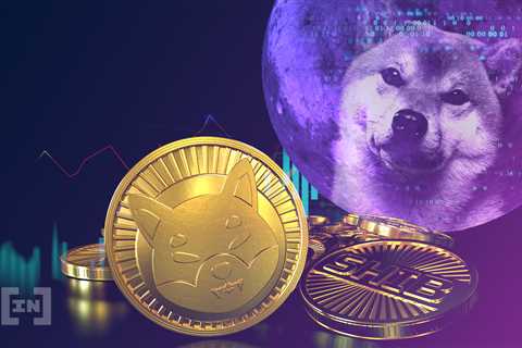 SHIBA INU (SHIB) Generates Unconfirmed Bullish Divergences - Shiba Inu Market News