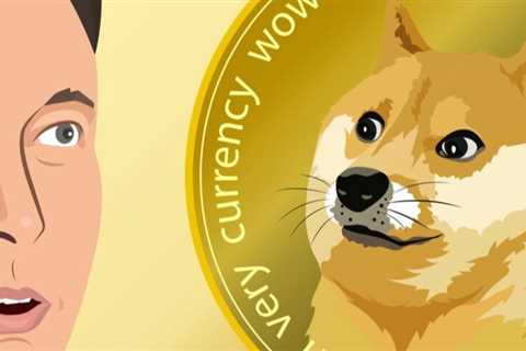 “Dogecoin Pyramid Scheme”: Elon Musk Sued For $258B