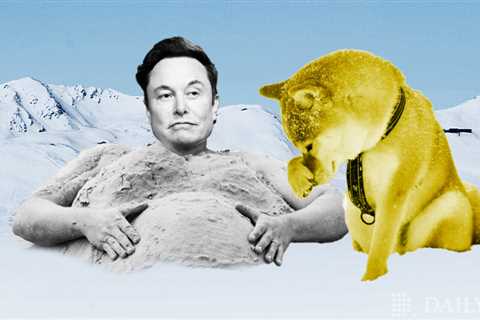 Elon Musk Pledges Continued Support for Dogecoin Despite Lawsuit and Bearish Market – DailyCoin