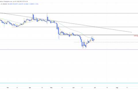 With Grayscale suing the SEC, how will Dogecoin price and crypto markets react?