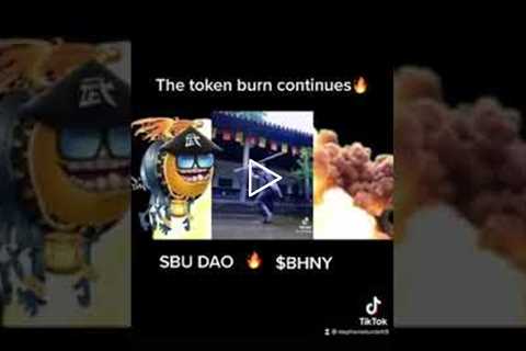 The Token Burning Continues