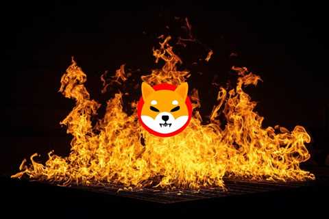 Shytoshi States That ”Massive Shiba Inu Burns Require Community Efforts”