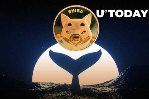 Shiba Inu (SHIB) Comes Back as Biggest Holding Among ETH Whales