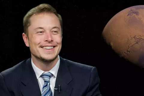 Tesla boss Elon Musk holds on to Dogecoin after the company sells 75% of its Bitcoin capital