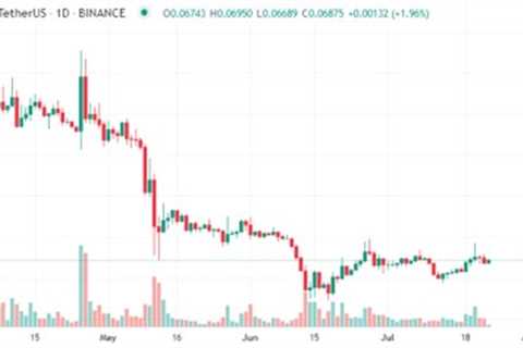 Dogecoin’s MDIA Influenced its Price With an 11% Increase