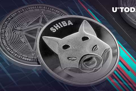 Shiba Inu (SHIB) Keeps Being Actively Used by 1,000 Largest Ethereum Holders - Shiba Inu Market News