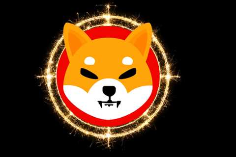 The Shiba Inu Team Isn’t Happy About The SHIB Burn Portal Delays - Shiba Inu Market News