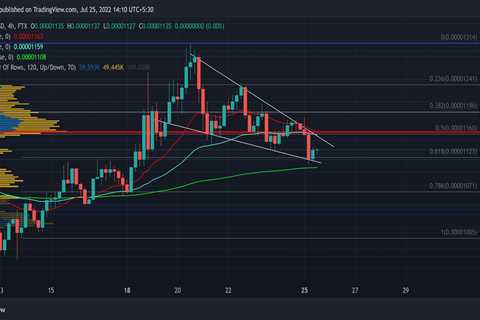 Master plan for SHIB traders to sail through bearish phase - Shiba Inu Market News