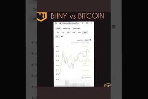 BHNY VS Bitcoin