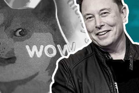 Elon Musk Says Dogecoin Is Better Than Bitcoin