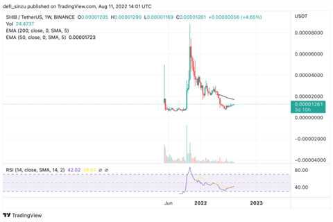 TA- Shiba Inu Price Struggles, But Could Be Set For A Major Run - Shiba Inu Market News