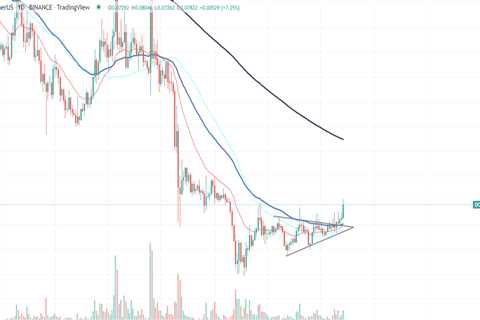 Dogecoin (DOGE) Enters Top 5 Most Profitable Assets in Last 24 Hours - Shiba Inu Market News