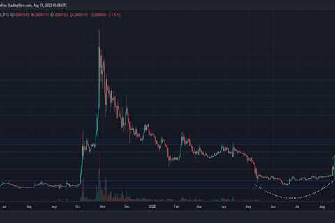 Shiba Inu Price Forms Cup And Handle Pattern, What Does This Mean? - Shiba Inu Market News