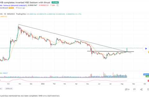 Shiba Inu Completes H&S Pattern - Shiba Inu Market News