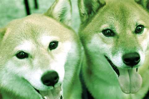 Shiba Inu, Dogecoin Up Double-Digits Over the Week - Shiba Inu Market News