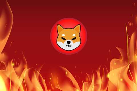 Mysterious Wallet Burns 101 Million Shiba Inu In One Transaction