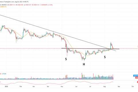 Three reasons why Shiba Inu has potential to beat the slump - Shiba Inu Market News