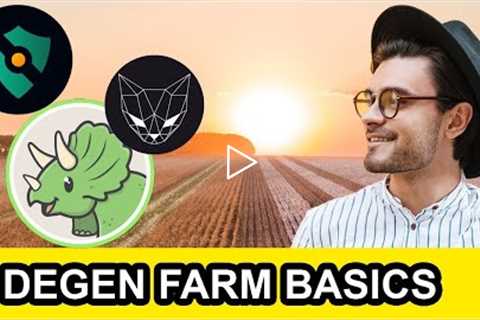 5 rules to be successful at degen yield farming