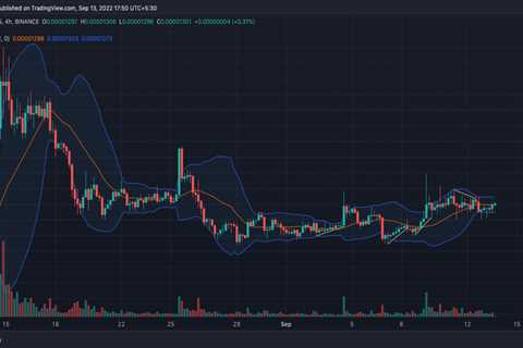 SHIB traders may eventually need to pull sell trigger- Decoding 'why' - Shiba Inu Market News