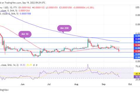 Shiba Inu Touches Key Support That Produced 100% Rise in July; What Happens Next - Shiba Inu Market ..