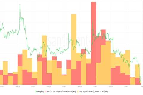 Why Shiba Inu [SHIB] community should be hopeful for Q4 2022 - Shiba Inu Market News