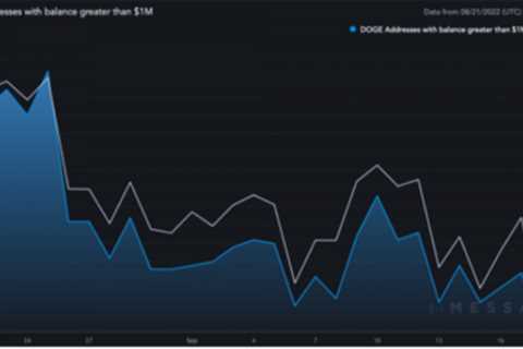 Dogecoin Surpasses Polkadot – Can DOGE Maintain Its Aggressiveness?