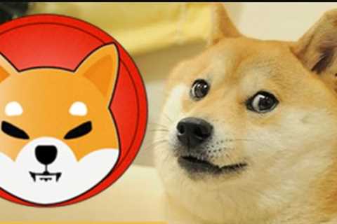 Former US Congressional Candidate Says It Is Fine To Hold Both Shiba Inu And Dogecoin – The Crypto..