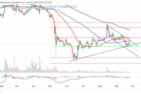 Ethereum whales gobble up SHIB, but Shiba Inu price withholds rally - Shiba Inu Market News