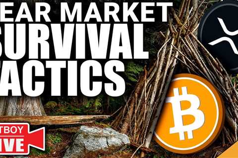 Bitcoin Bear Market SURVIVAL Tactics (INSANE XRP News)