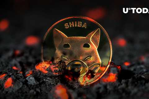 SHIB Burns Plunge to 2 Million in Past 24 Hours, What's Happening? - Shiba Inu Market News