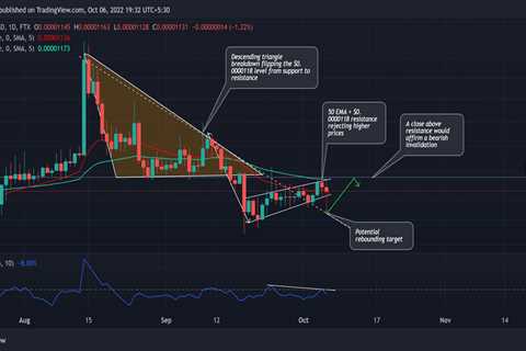 Shiba Inu: Tracing SHIB's ability to rebound from its newly found support - Shiba Inu Market News