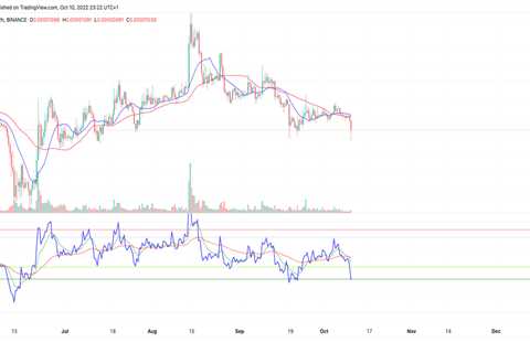 Shiba Inu price falls through $0.00001000! Here's what could happen next - Shiba Inu Market News