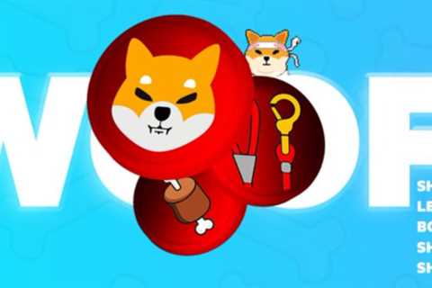 Blockchain Security Company Gives Shib Army New Reason To Feel Safe And Secure - Shiba Inu Market..