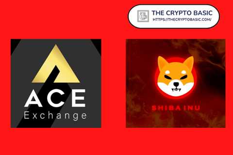 Shiba Inu Can Now Be Bought With 100 Plus Fiat Currencies - Shiba Inu Market News