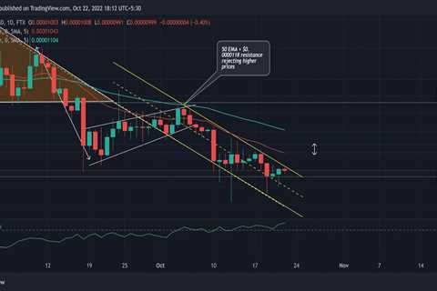 Forecasting Shiba Inu's [SHIB] fortune in the days to come - Shiba Inu Market News