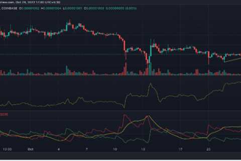 Shiba Inu Burn Rate Has Just Spiked By An Impressive 1,860% - Shiba Inu Market News