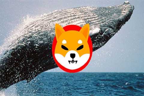 Whales Move 3.3 Trillion Shiba Inu