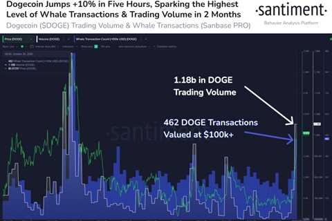 DOGE climbs 20% overnight, whale transactions hit two month peak