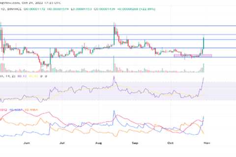 Shiba Inu Jumps 30% In Last 7 Days - Shiba Inu Market News