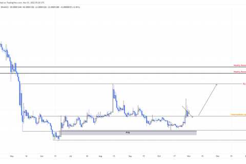 Why Dogecoin-killer Shiba Inu Coin is primed for a 40% rally