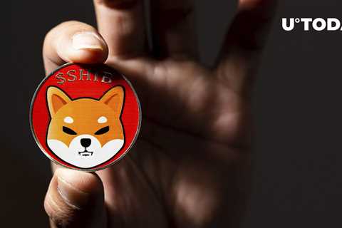 SHIB Payments Expand to Million More Users Through This Integration: Details - Shiba Inu Market News