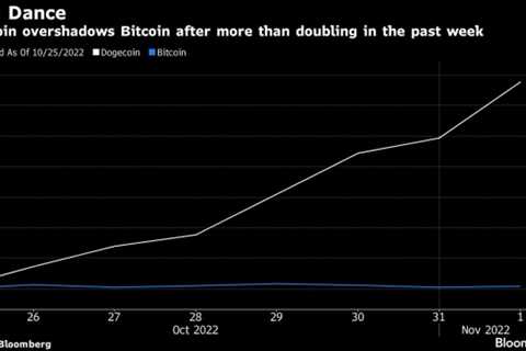 Dogecoin Jump Fueled by Musk Enlivens Crypto’s Beaten-Down Bulls