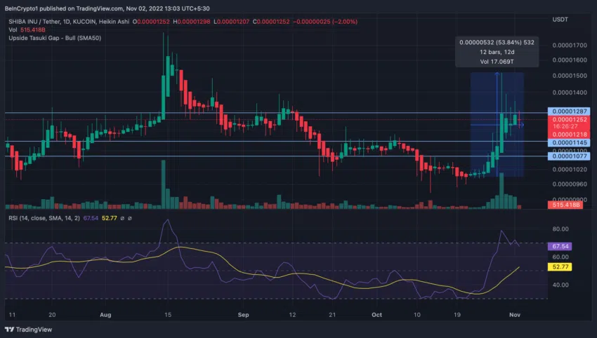 Shiba Inu Price Shows Early Signs of a Double Top - Shiba Inu Market News