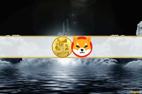 Dogecoin Soars 25%, Shiba Inu Up 8% (Market Watch) - Shiba Inu Market News