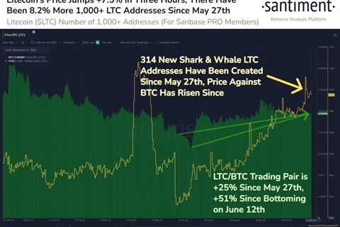 Litecoin (LTC) Gives A Strong Rally Amid Whale Acquisition