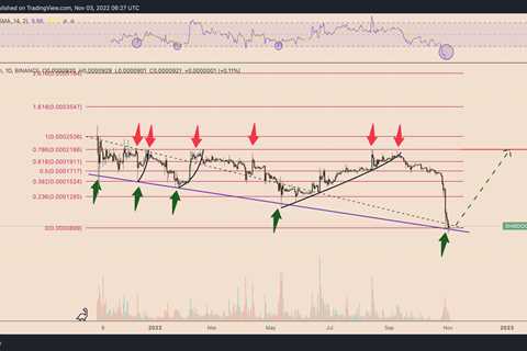 Shiba Inu price drops to record low vs Dogecoin — Will history repeat with a 150% rally? - Shiba..